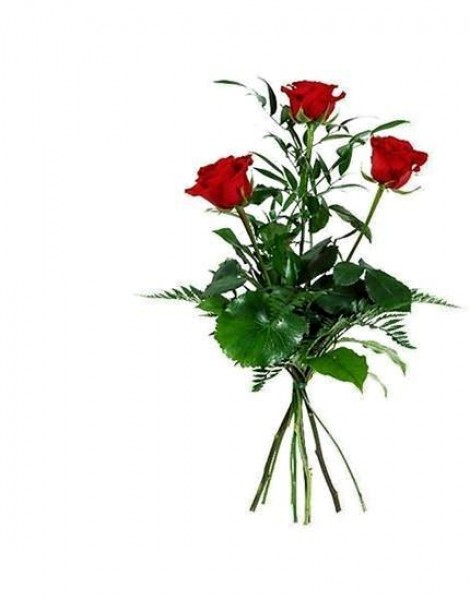 0000242_premium-long-stemmed-roses-tastefully-arranged-with-lush-greenery_550-02.jpeg